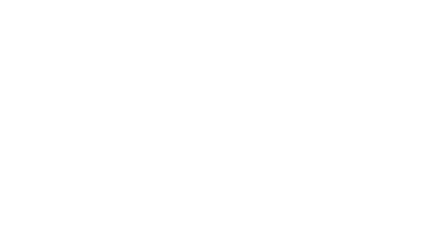 Mister Sabor