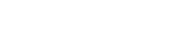Toyopar